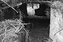 Inside Bunker