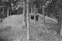 Jewish Resistance: Avenger's Camp