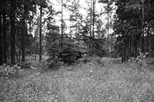 Jewish Resistance: Partisan Guard Station